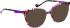 Bellinger Less-Ace-2386 sunglasses in Purple/Other