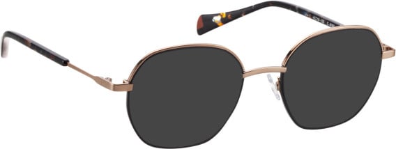 Bellinger Line-1 sunglasses in Black/Copper