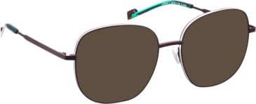 Bellinger Outline-7 sunglasses in Brown/White