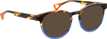 Bellinger Pintail sunglasses in Brown/Blue