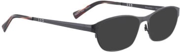 Bellinger Shinymatt-1 sunglasses in Brown/Brown