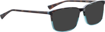Bellinger Spike sunglasses in Brown/Brown