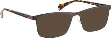Bellinger Sprint-2 sunglasses in Brown/Green