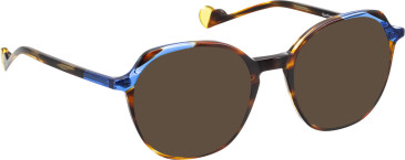 Bellinger Sunflower sunglasses in Brown/Blue