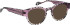 Bellinger Surround sunglasses in Purple/Black