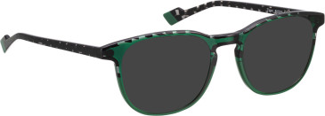 Bellinger Tiger sunglasses in Green/Green