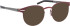 Blac Alpine sunglasses in Red/Grey
