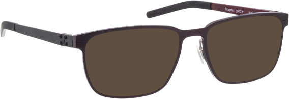 Blac Magnus sunglasses in Brown/Black