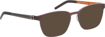 Blac Rask sunglasses in Brown/Black
