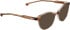 Entourage of 7 Betty sunglasses in Brown/Brown