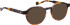 Entourage of 7 Hadley sunglasses in Brown/Brown