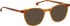 Entourage of 7 Jackson-Sk sunglasses in Brown/Brown