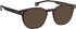 Entourage of 7 Jackson-Xl sunglasses in Brown/Brown