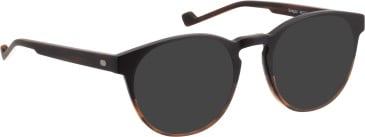 Entourage of 7 Keegan sunglasses in Black/Brown