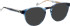 Entourage of 7 Keegan sunglasses in Blue/Blue