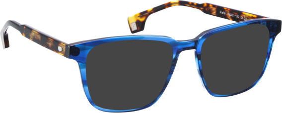 Entourage of 7 Kiefer sunglasses in Blue/Brown