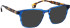 Entourage of 7 Kiefer sunglasses in Blue/Brown