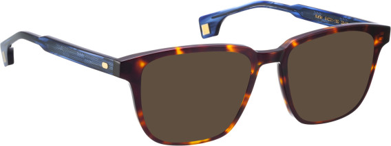 Entourage of 7 Kiefer sunglasses in Brown/Blue