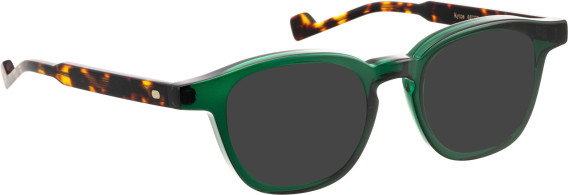 Entourage of 7 Kyros sunglasses in Green/Green