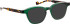 Entourage of 7 Kyros sunglasses in Green/Green