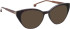 Entourage of 7 Louiza sunglasses in Brown/Brown