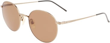 Calvin Klein CK22110TS sunglasses in Gold/Brown
