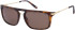 Caterpillar CPS-8502 sunglasses in Matt Tortoise