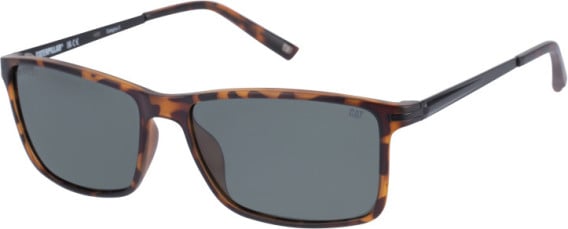 Caterpillar CPS-8506 sunglasses in Matt Tortoise