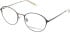 Superdry 2023 glasses in Brown/Light Brown