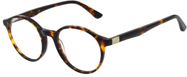 Pepe Jeans PJ3516 glasses in Gloss Tortoise