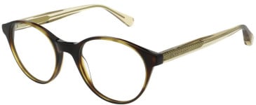 Christian Lacroix CL1153 glasses in Tortoise