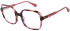 Christian Lacroix CL1155 glasses in Red Tortoise