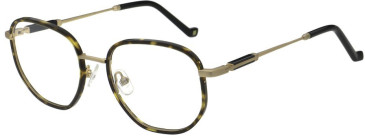 Hackett HEB333 glasses in Matt Antique Gold/Tort