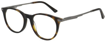 Hackett HEK1319 glasses in Tortoise