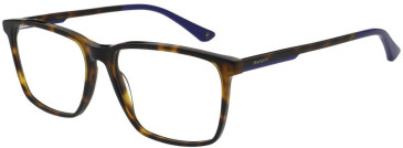 Hackett HEK1324 glasses in Tortoise