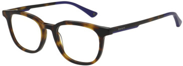 Hackett HEK1325 glasses in Tortoise