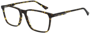 Hackett HEK1326 glasses in Dark Tortoise