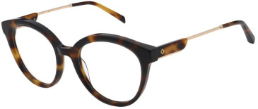 Maje MJ1054 glasses in Tortoise