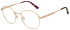 Pepe Jeans PJ1425 glasses in Satin Light Rose Gold
