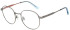Pepe Jeans PJ1425 glasses in Matt Light Gun