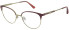 Pepe Jeans PJ1431 glasses in Champagne Gold
