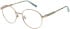 Pepe Jeans PJ1432 glasses in Light Rose Gold