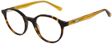 Pepe Jeans PJ3522 glasses in Gloss Tortoise
