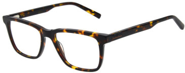 Pepe Jeans PJ3533 glasses in Gloss Tortoise