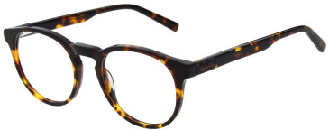 Pepe Jeans PJ3534 glasses in Gloss Tortoise
