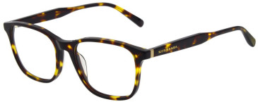 Scotch & Soda SS4028 glasses in Gloss Tortoise Horn