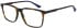 Hackett HEK1324 glasses in Tortoise