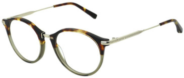 Ted Baker TB8294 glasses in Classic Tortoise