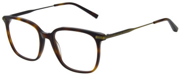 Ted Baker TB8295 glasses in Tortoise