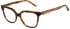 Ted Baker TB9264 glasses in Honey Tortoise